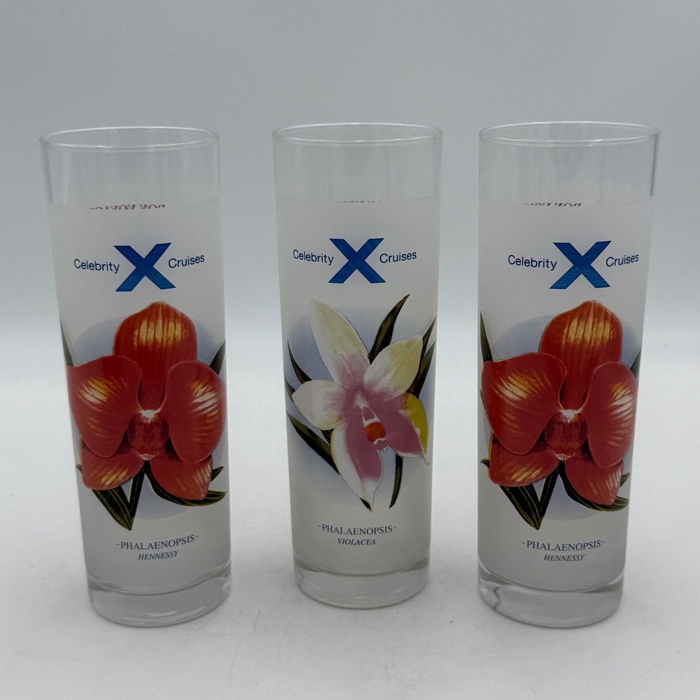 Celebrity Cruises Frosted Orchid Cocktail Glasses Set of 3 Phalaenopsis Recipes